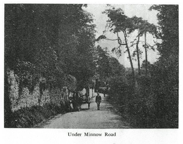 Under Minnow Road
