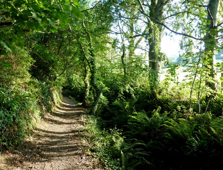 Shearford Lane