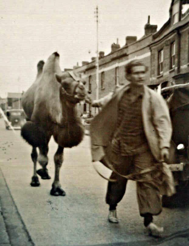 When the Circus Came to Town in 1953